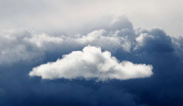 Drukte door stormschade